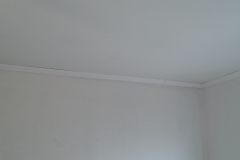 IMAG4445