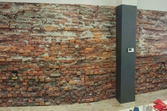 IMAG0196